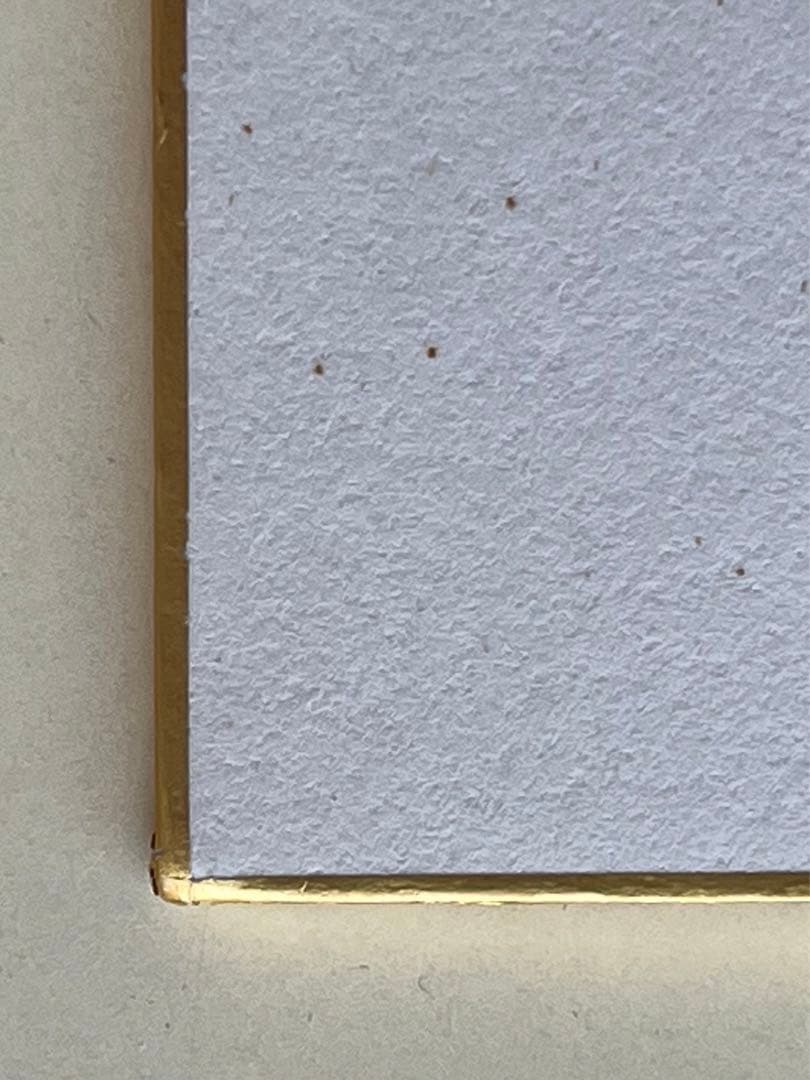 長嶋茂雄 サイン色紙