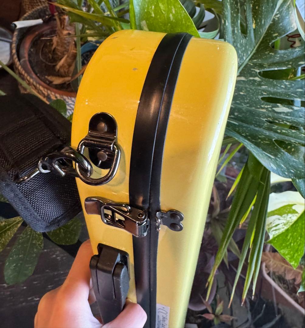 フルート用　CCシャイニーケースⅡ 現行品　イーストマン　パステルイエロー