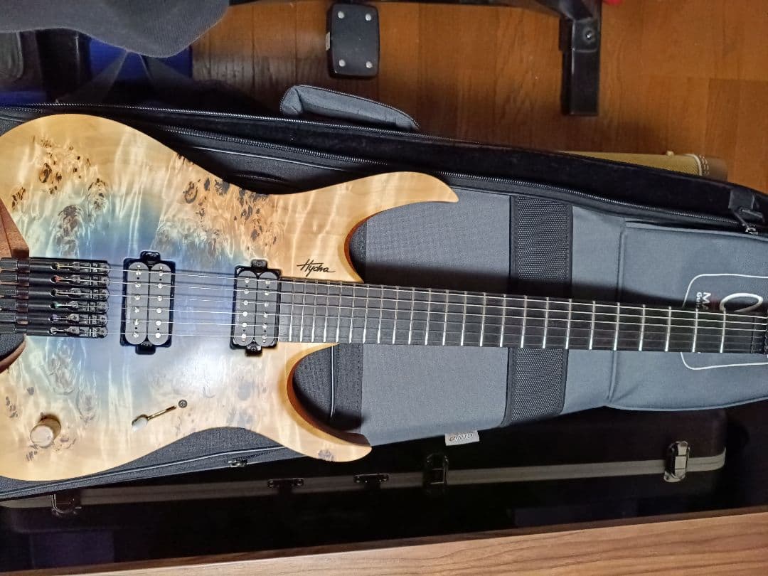 ギター Mayones Hydra