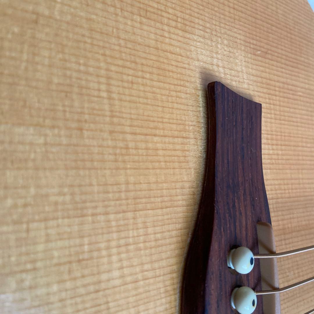 シーガル Seagull Grand パーラーギター