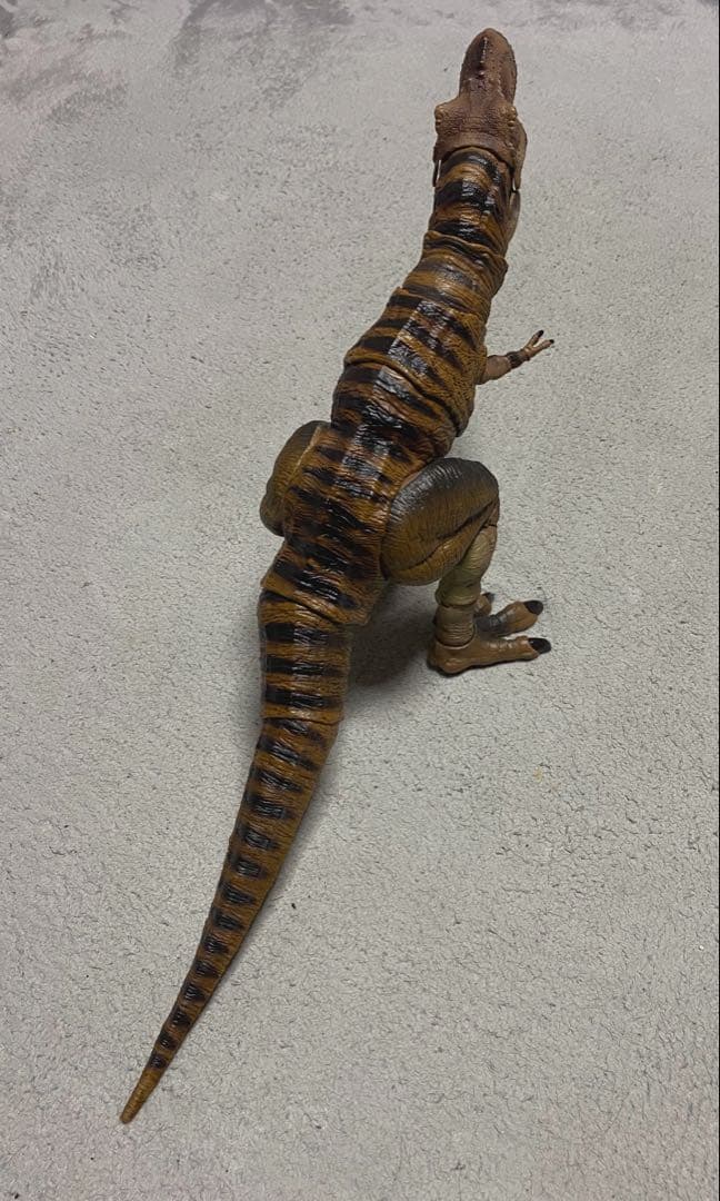 ハモンドコレクション　ティラノサウルス マテル