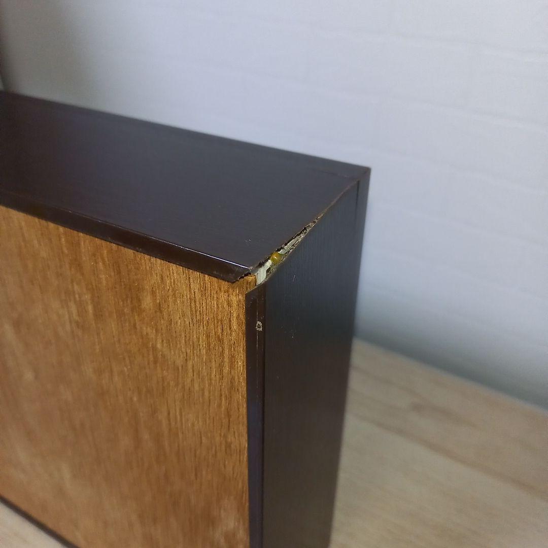 【マルスゾウカブトムシ】 マルス標本 雌雄セット　昆虫セット　オスメスペア