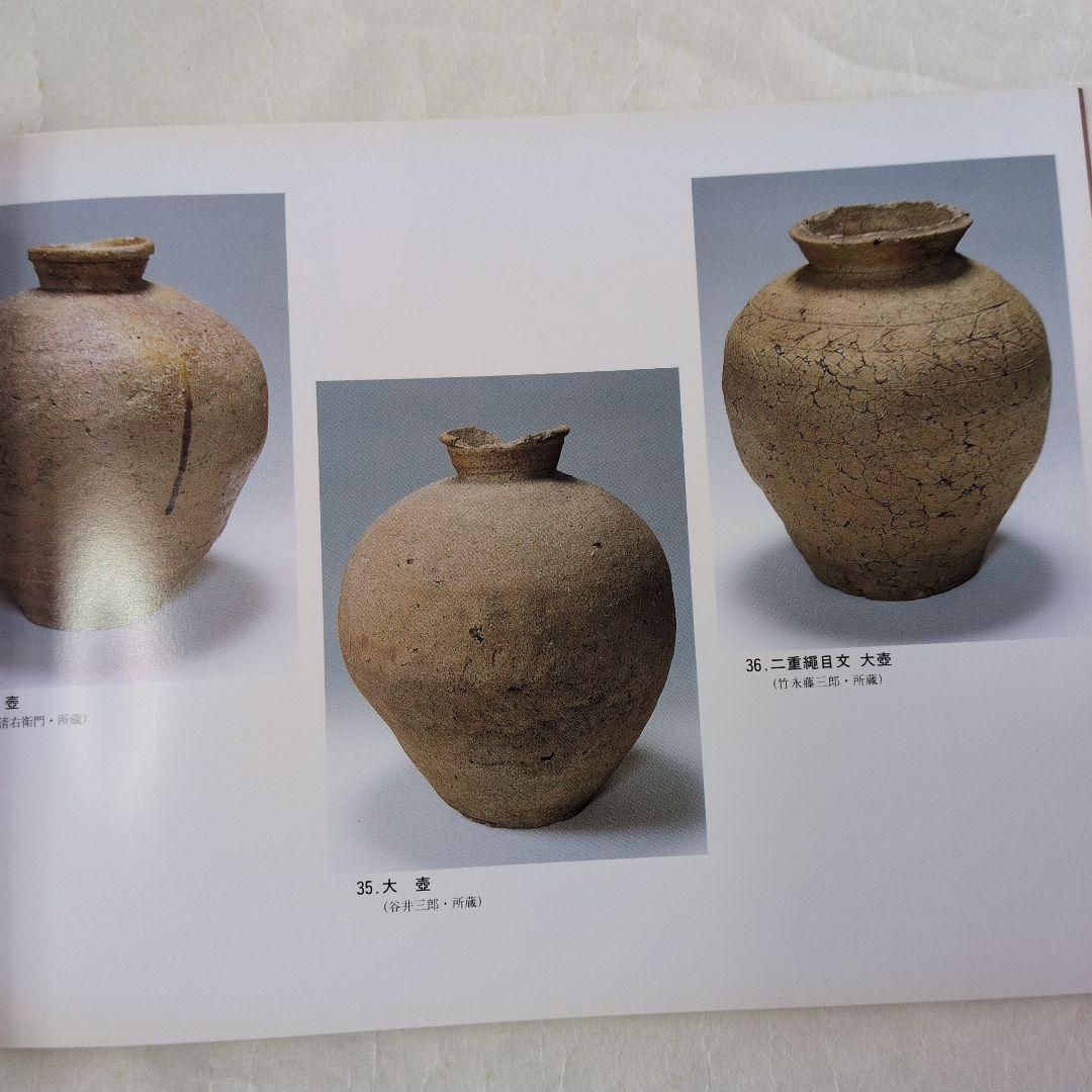 【信楽　窯変壺】