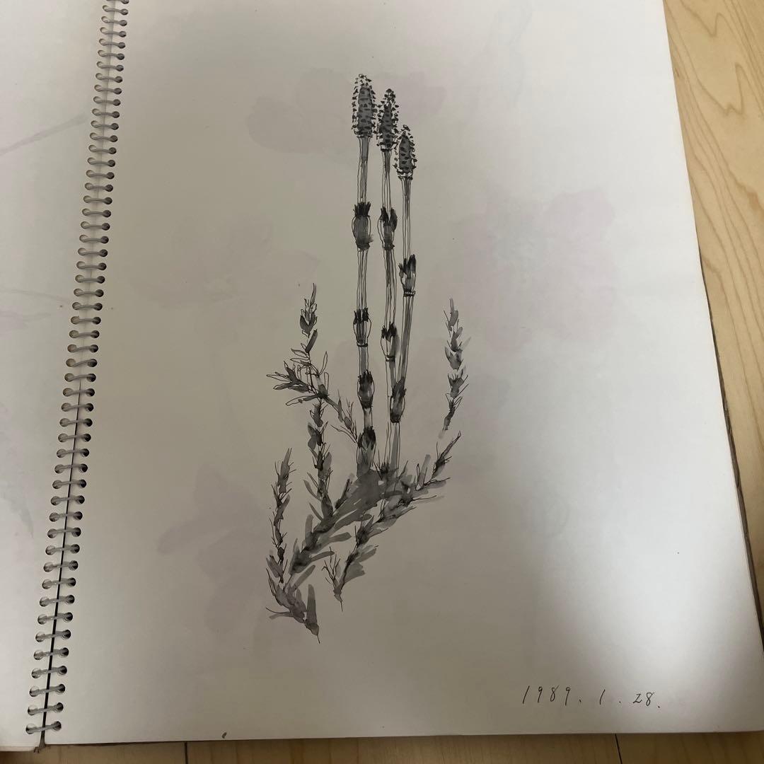 1980年代 絵画コレクション