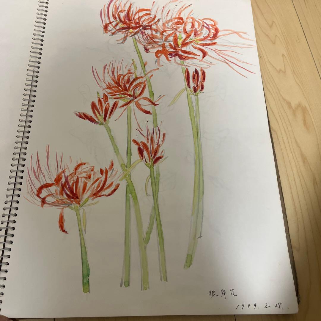 1980年代 絵画コレクション