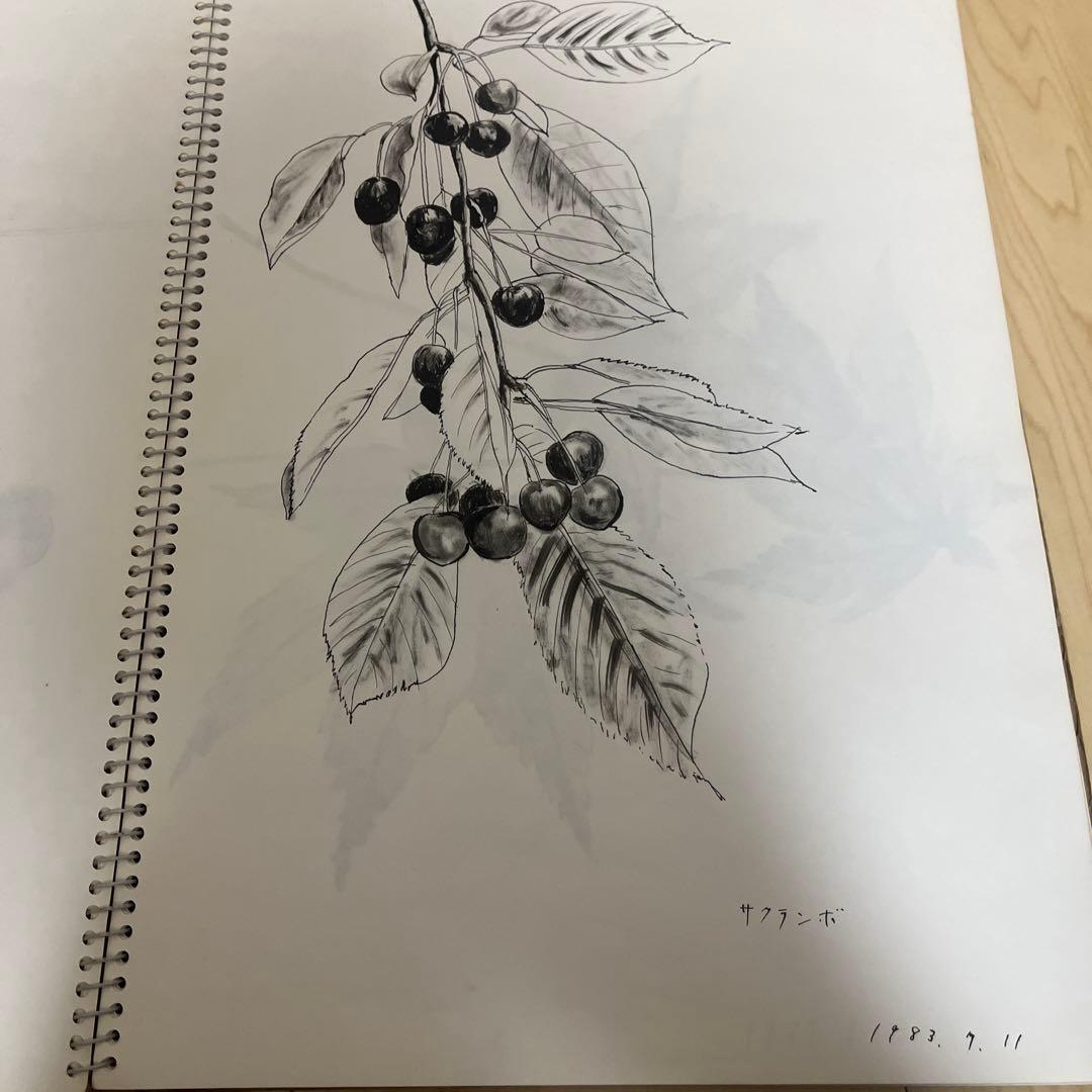 1980年代 絵画コレクション