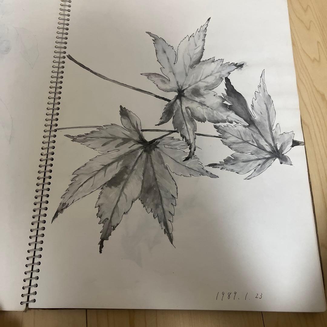 1980年代 絵画コレクション