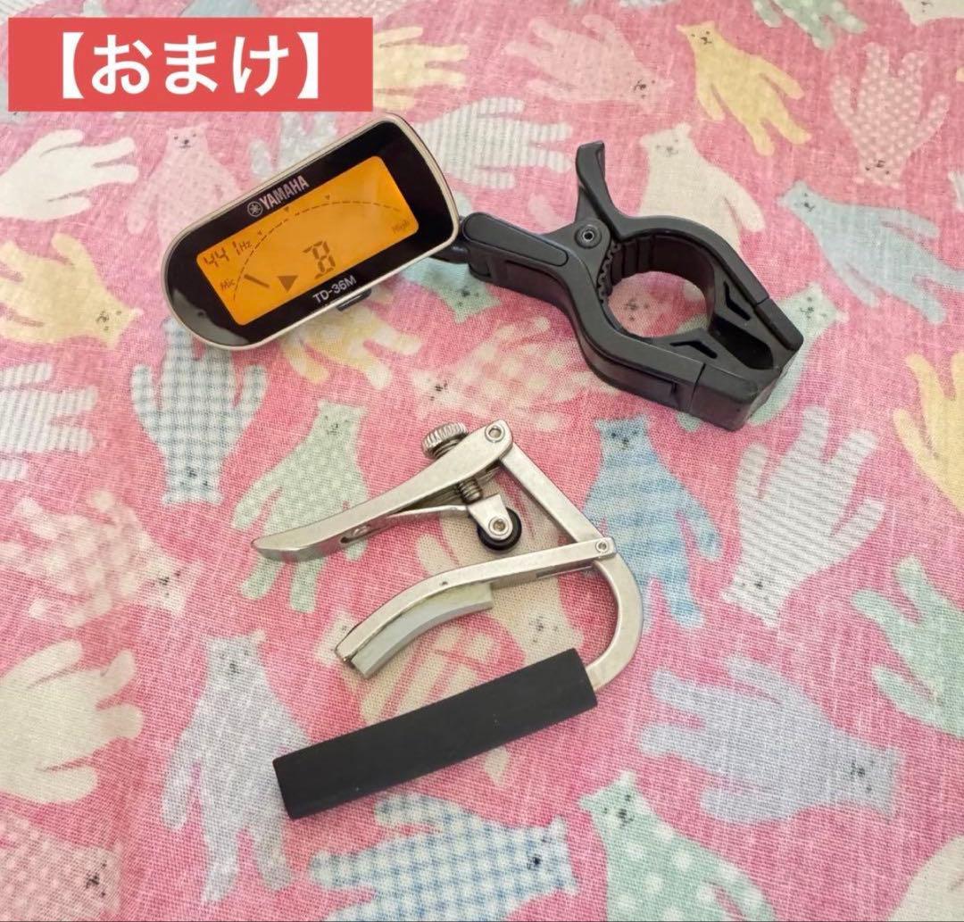 【おまけ付き】ベビーテイラー ギター baby taylor