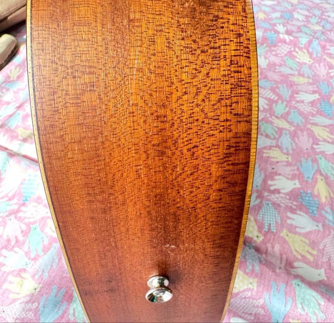 【おまけ付き】ベビーテイラー ギター baby taylor