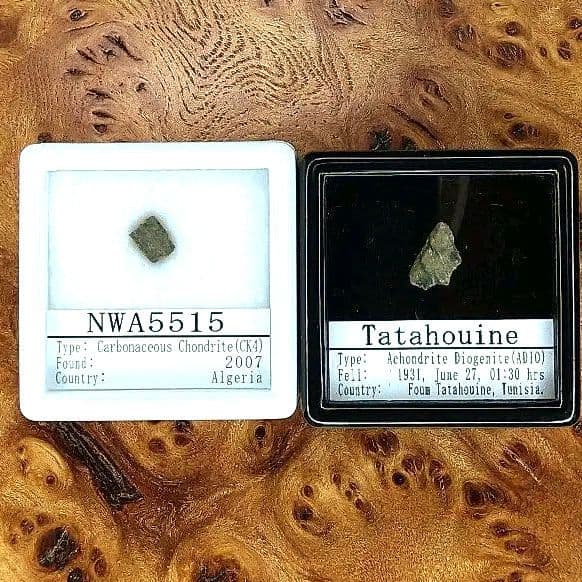 希少！ カルーンダ・タイプ NWA5515隕石+ 輝く結晶!タタフィン隕石 標本