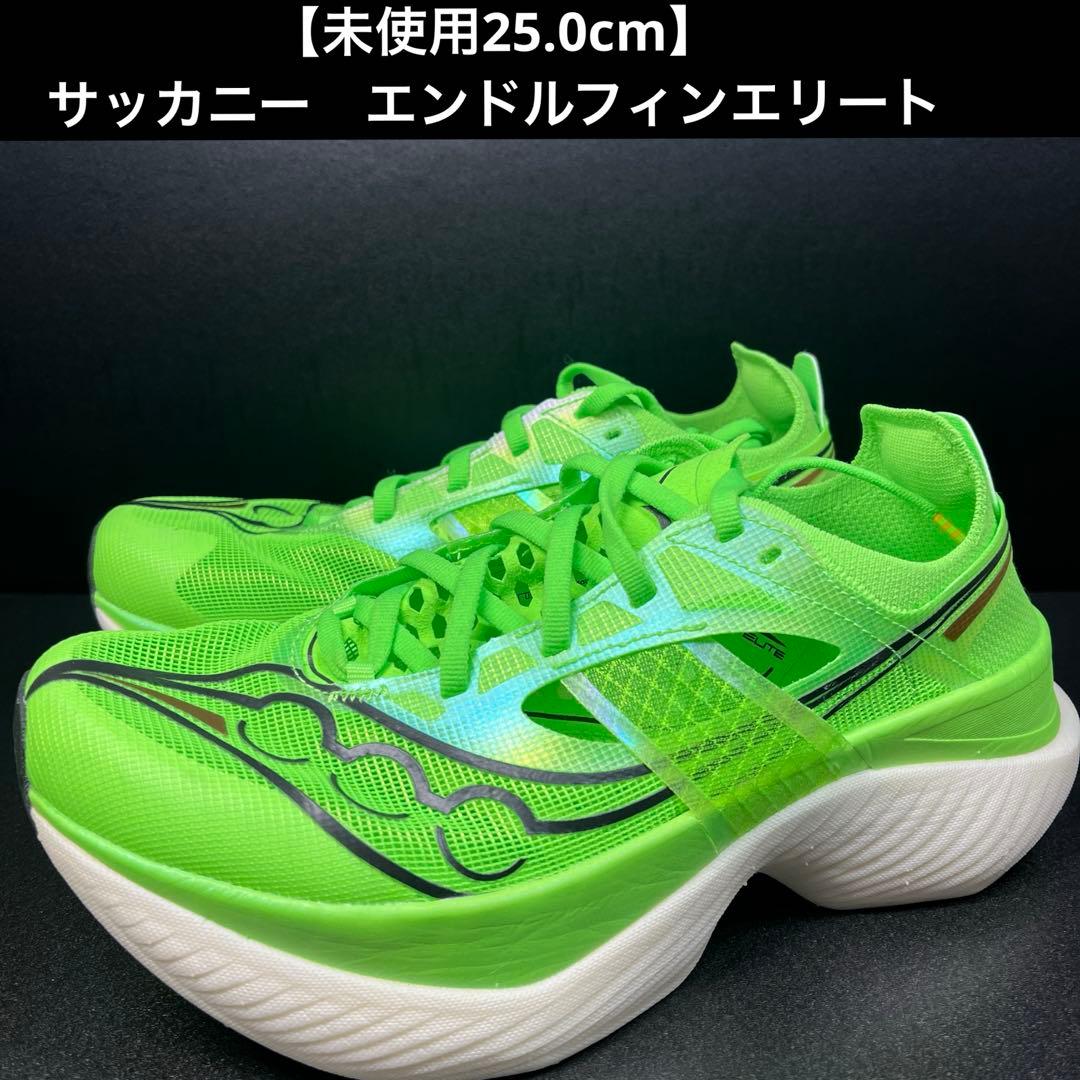 【未使用25.0cm】　サッカニー　エンドルフィンエリート