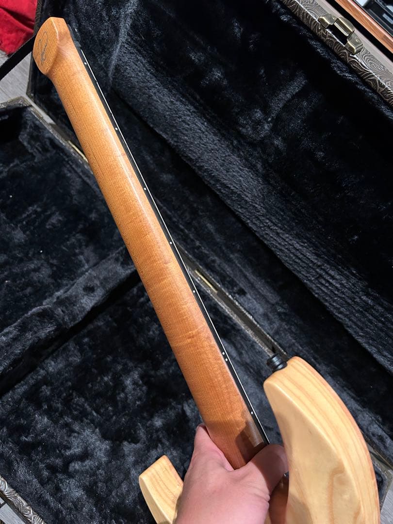 Acacia guitars MEDUSA 7弦ヘッドレス