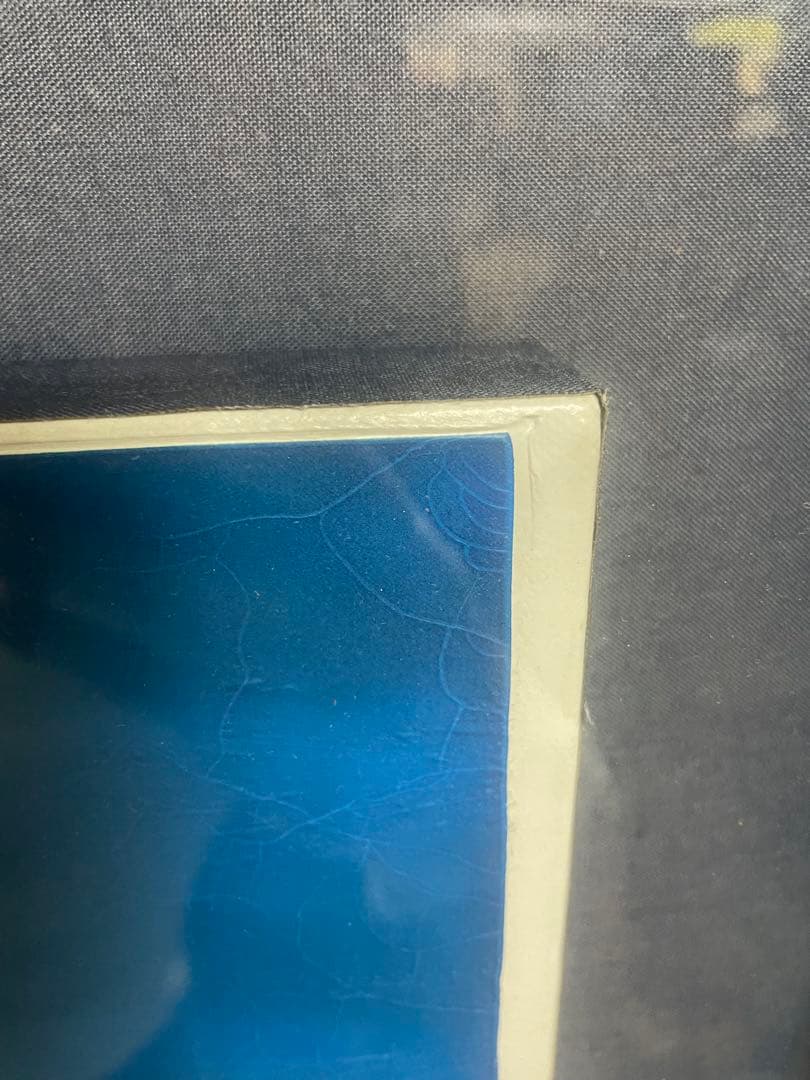 限定版クリスチャンラッセン「ラハイナ スターライト」C/E 2/475額装付き