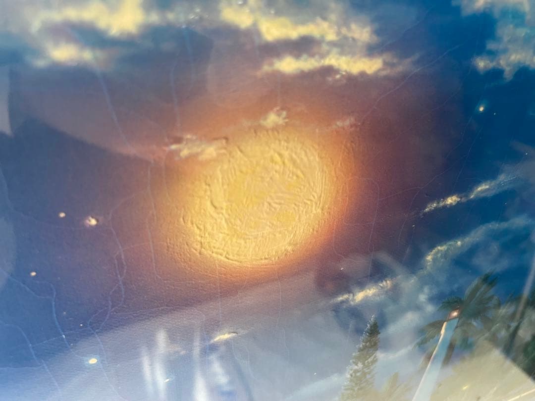 限定版クリスチャンラッセン「ラハイナ スターライト」C/E 2/475額装付き