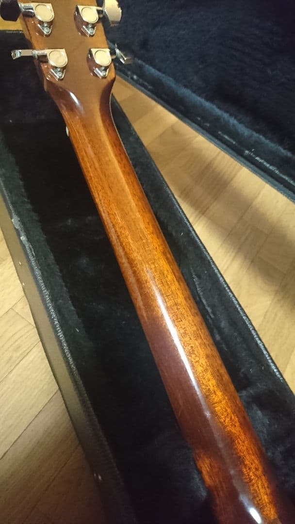 オール単板　全単板　s yairi ヤイリ YDT-18 　矢入