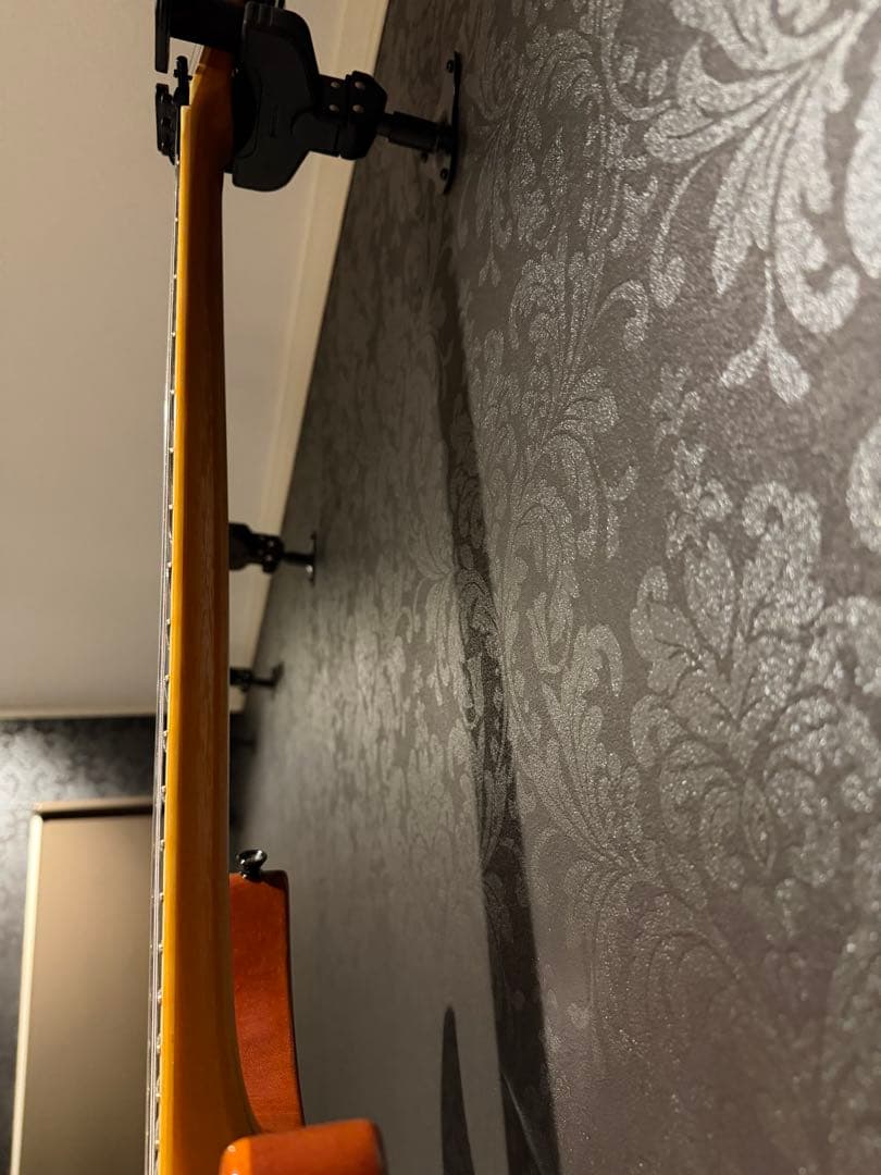 ESP ホライゾンギター　ハードケース付き