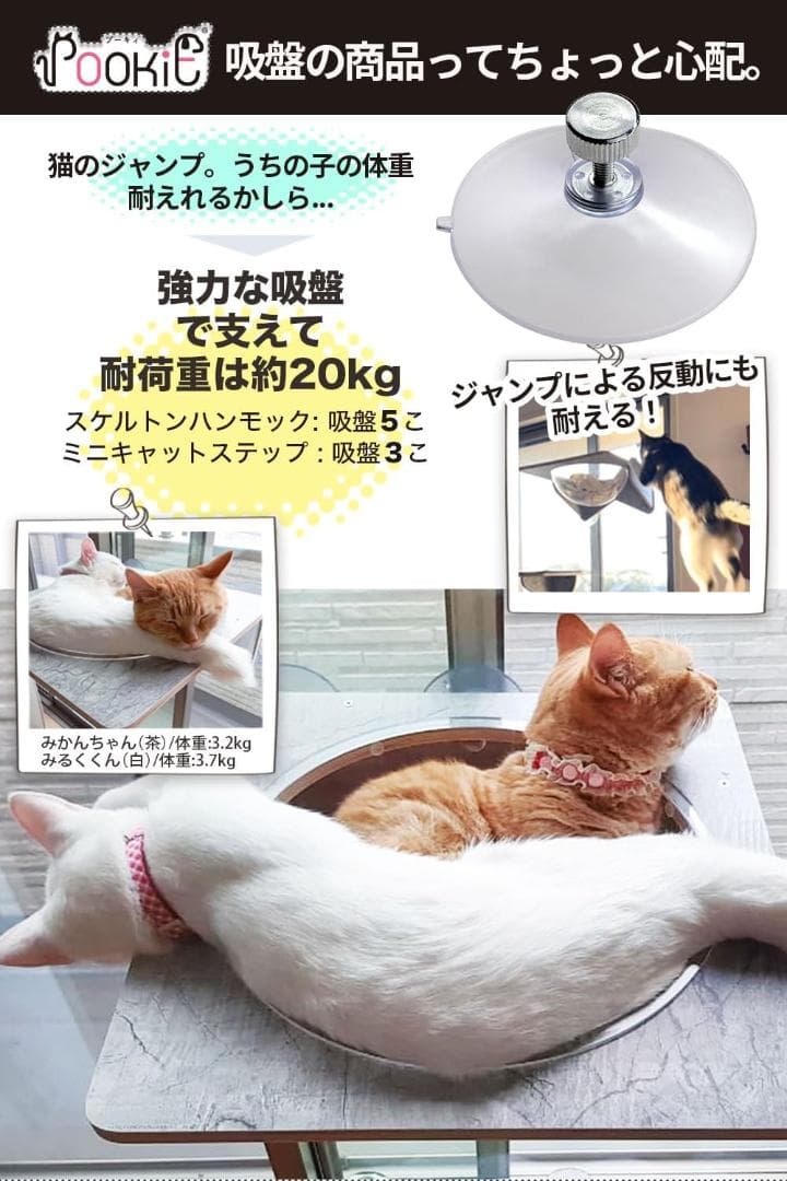 POOKIE 猫 窓 ハンモック スケルトン 窓ベッド ステップ【3点セット】