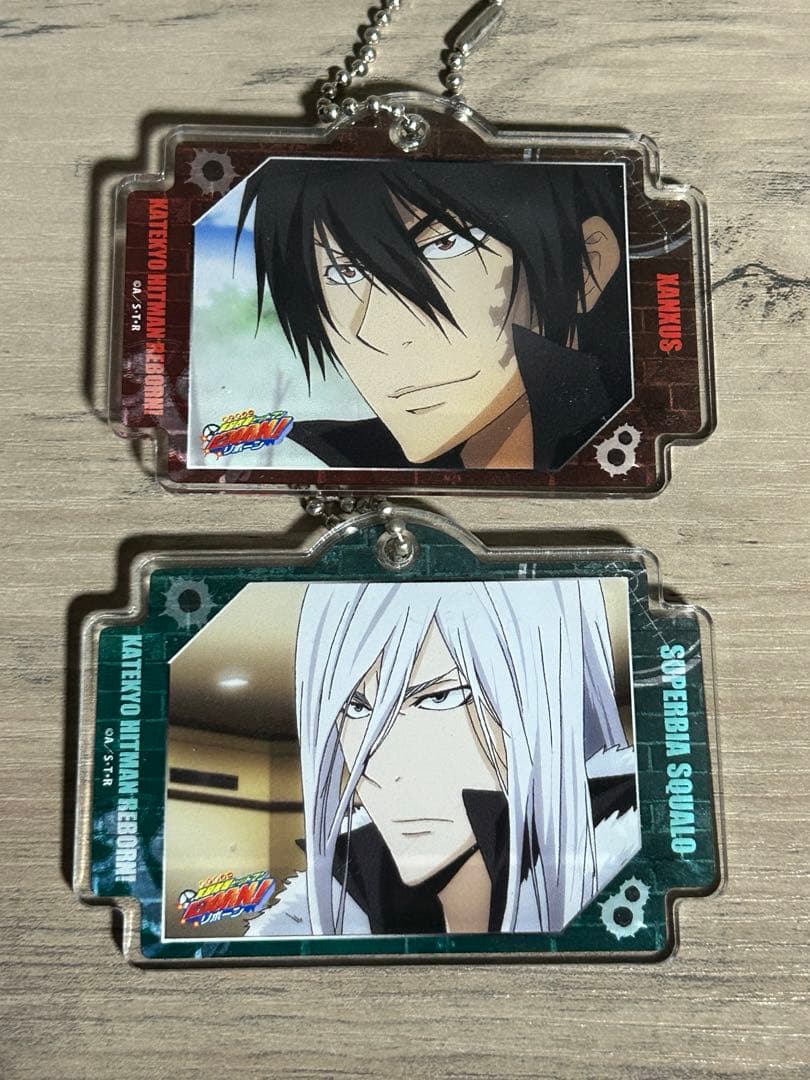 家庭教師ヒットマンREBORN TRアクリルキーホルダー XANXASスクアーロ