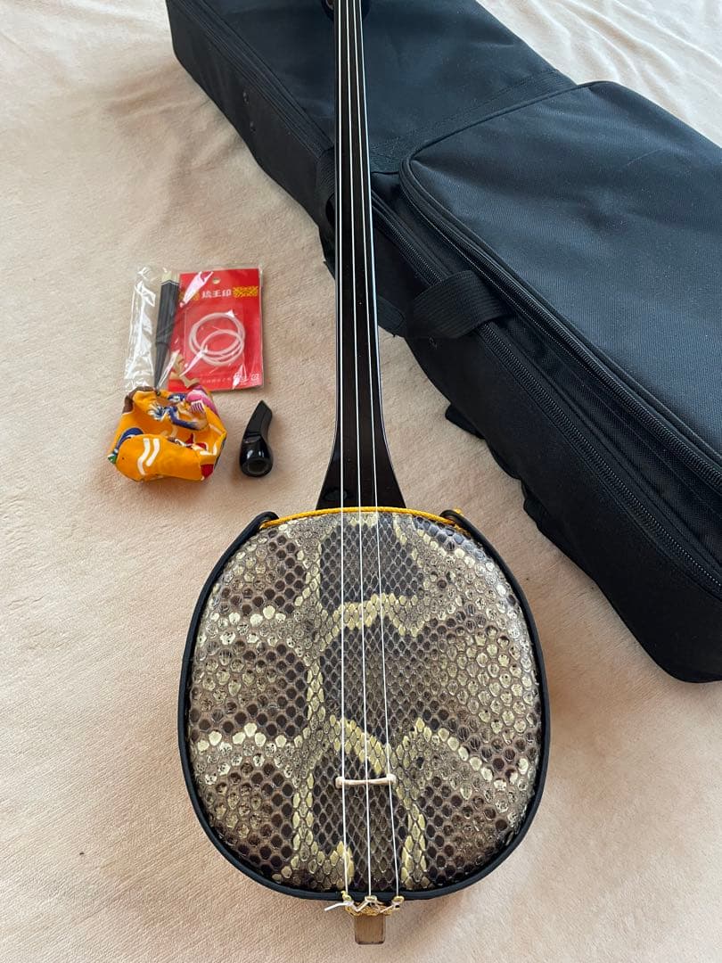 新品未使用　三線　ケース付き　付属品　三線本