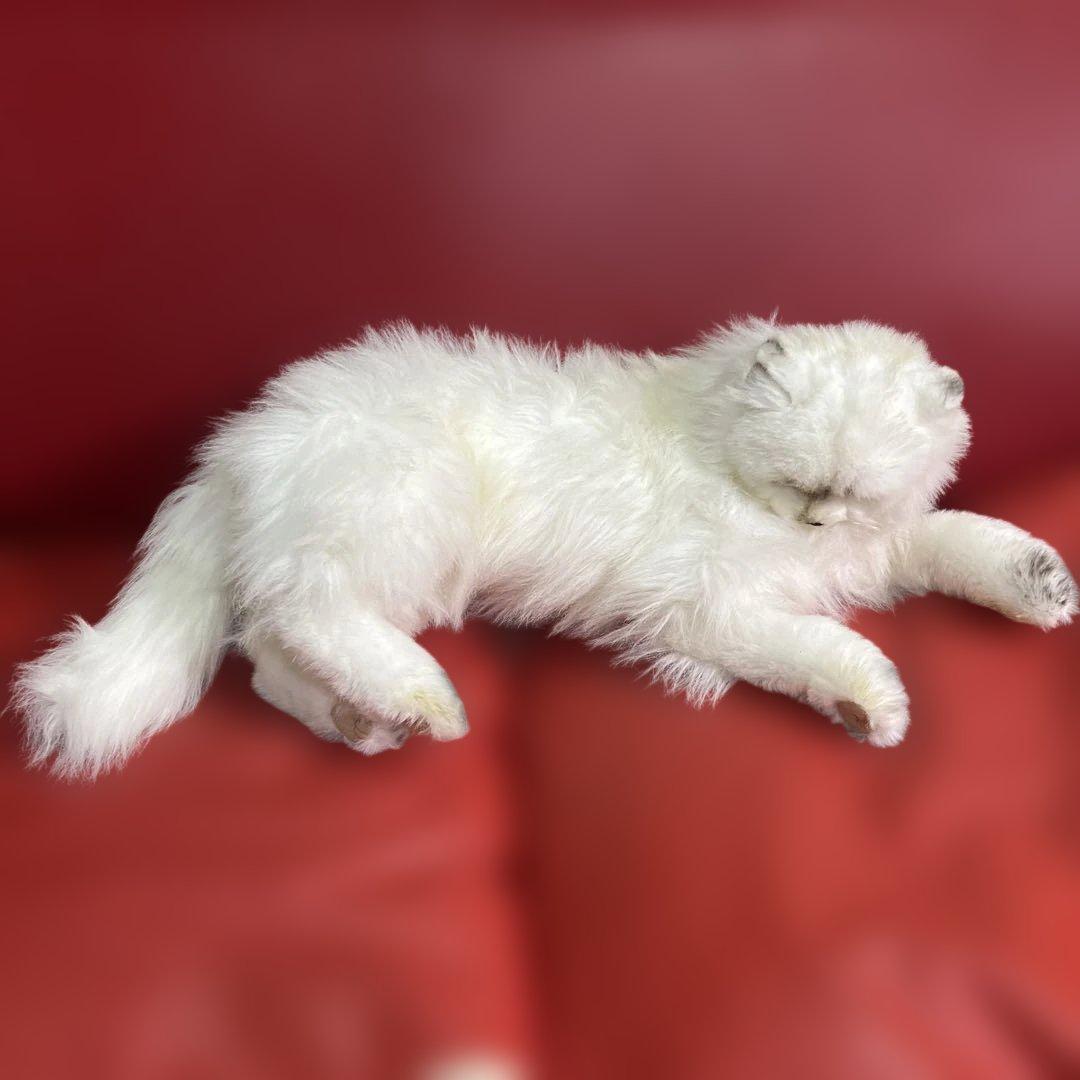 激レア！リアル！レディー・マリア　ペルシャ猫　約60センチ