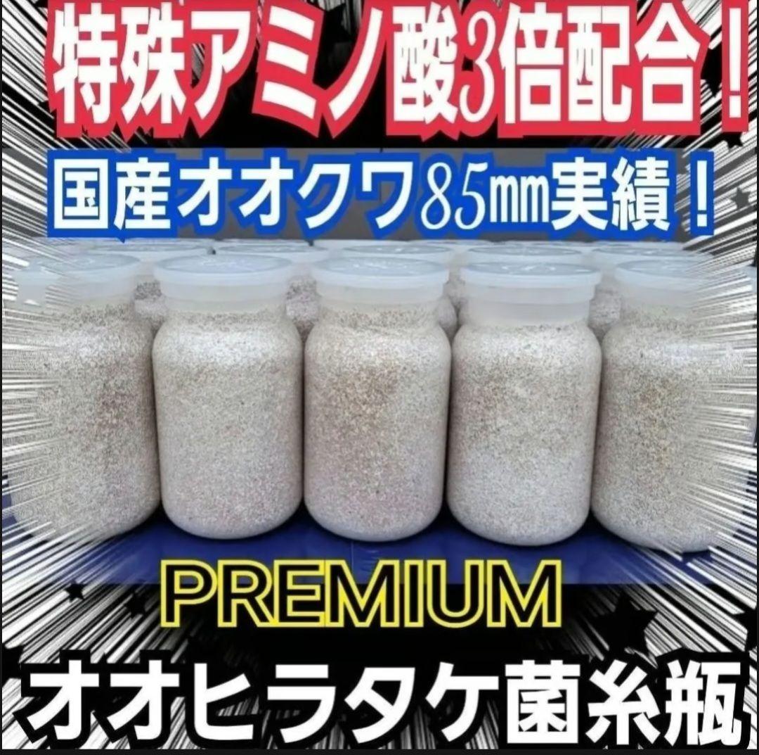 オオヒラタケ菌糸瓶1100ml【８本】特殊アミノ酸強化配合！オオクワガタに抜群！