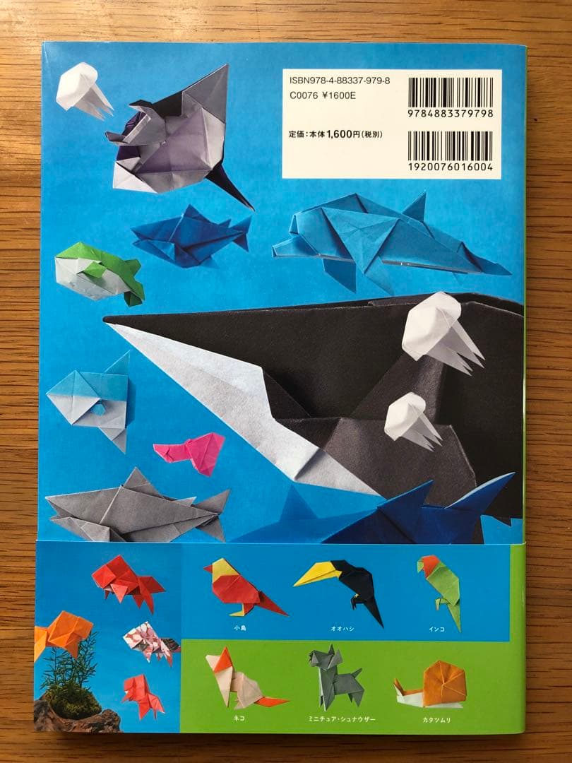 ORIGAMI PET  おりがみペットアイランド　フチモトムネジ