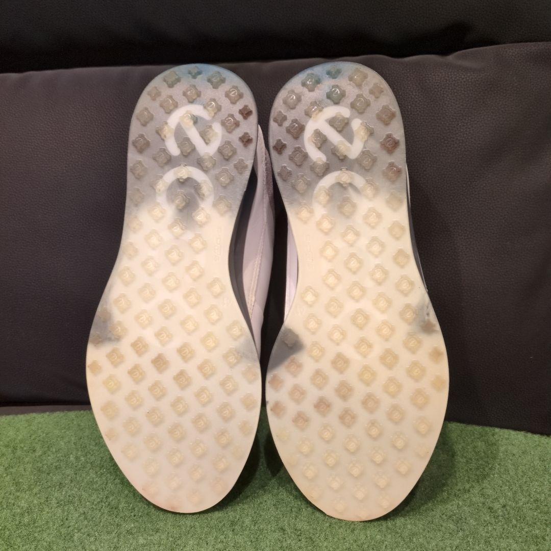 ECCO BOA エコーゴルフシューズ ゴアテックス 41
