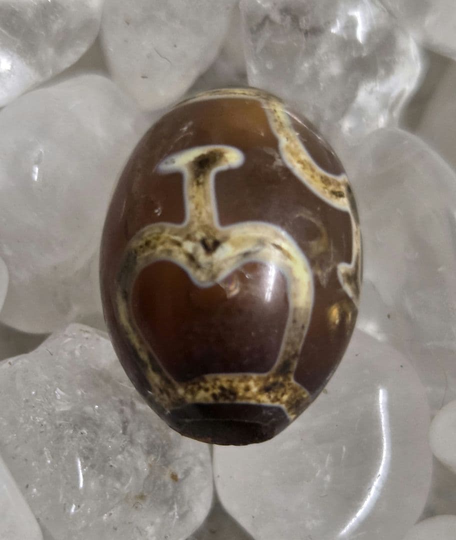 010 天珠　寶瓶天珠　貴重　珍品　　dzibeads！