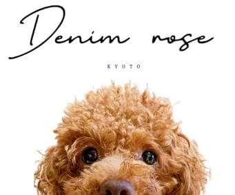 みみさま【DENIM ROSE】小型犬用プードルワッペンパーカー＋お揃いパーカー