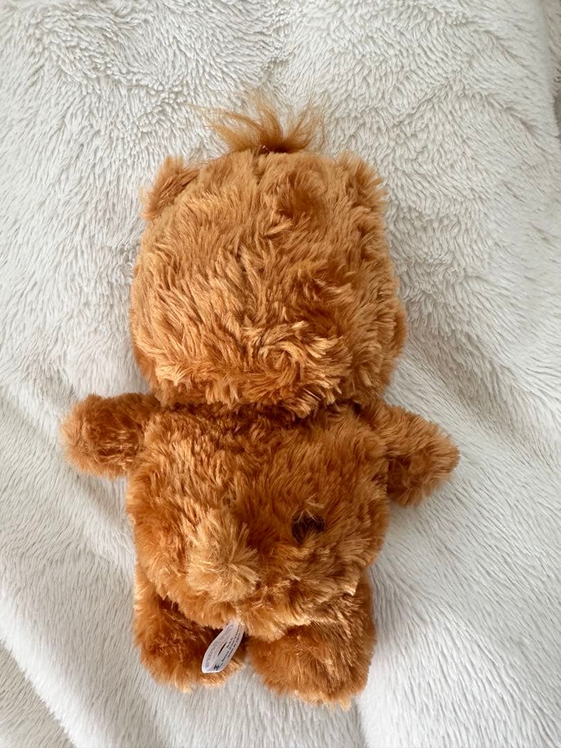 ケアベア ローズボア ぬいぐるみ