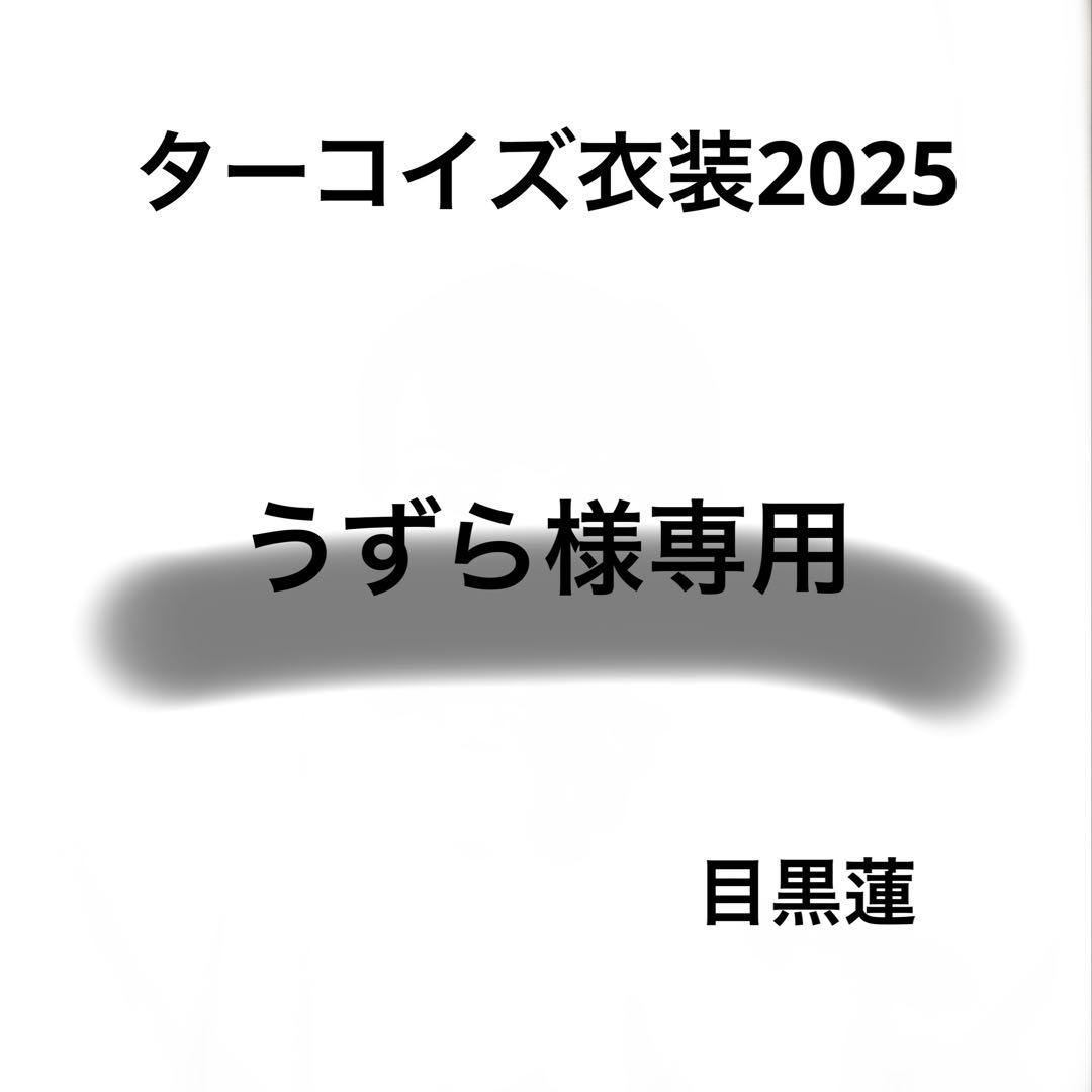 うずら専用　Bigぬい ぬい服 ターコイズ衣装　目黒蓮