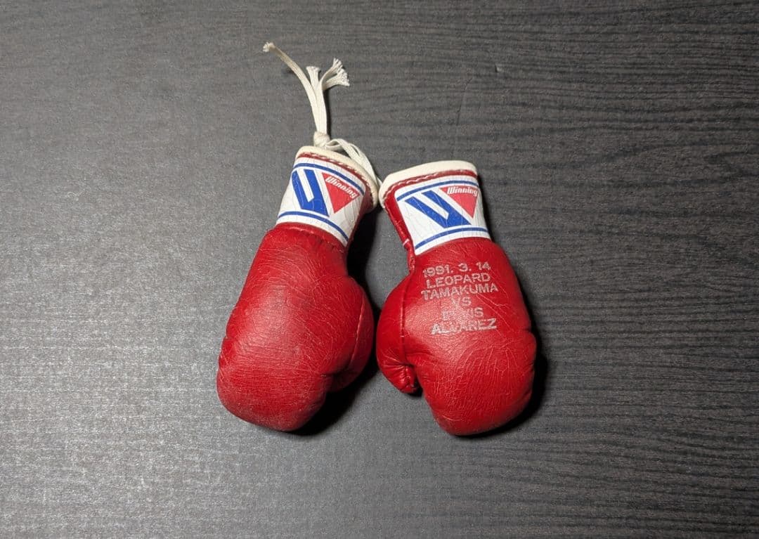 ボクシング マスコットグローブ レパード玉熊×アルバレス