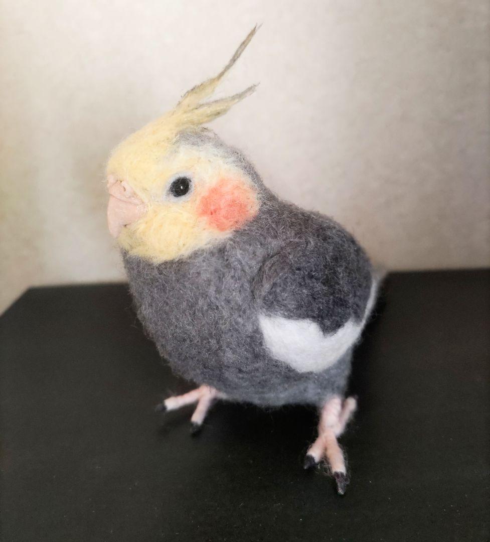 羊毛フェルト オカメインコ ノーマル オス