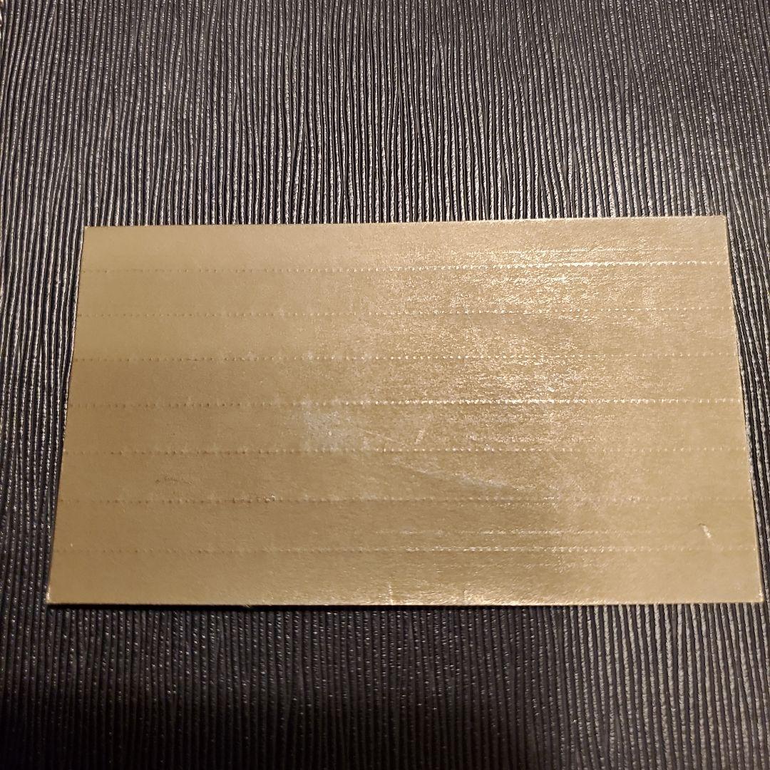 ミホシンザン 天皇賞春 現地的中単勝馬券 期限切れ 換金不可