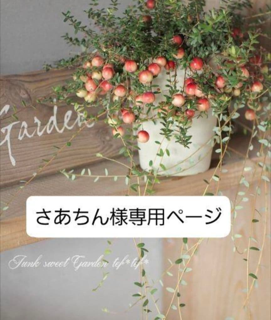 さあちんページ•*¨*•.¸♬︎