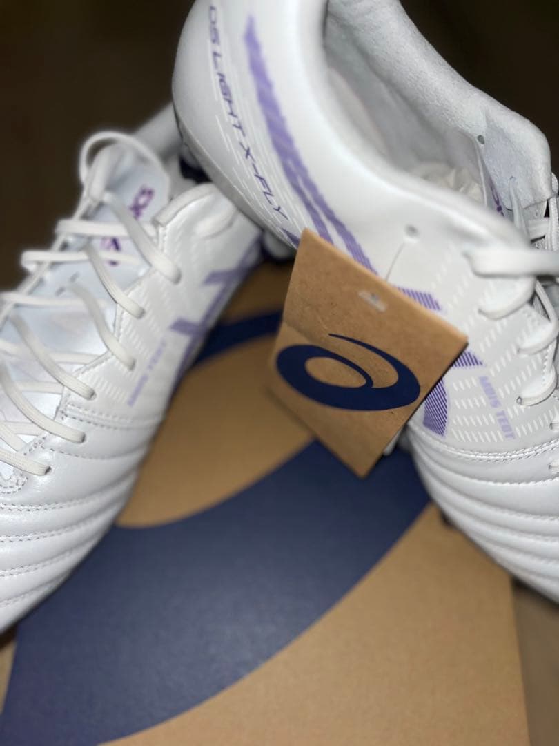 DS LIGHT X-FLY PRO 2(27センチ)