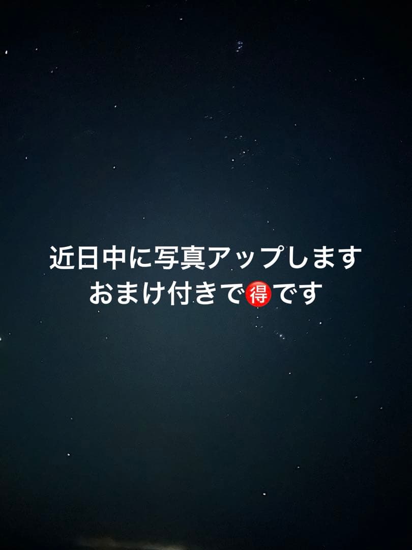 エアバギー ドーム3 レギュラー チェダー