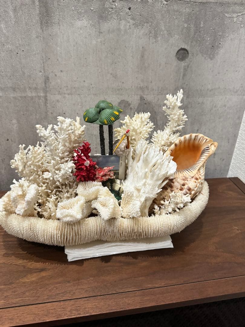 白珊瑚天然　オブジェ　アクアリウム　インテリア　デコレーション サンゴ