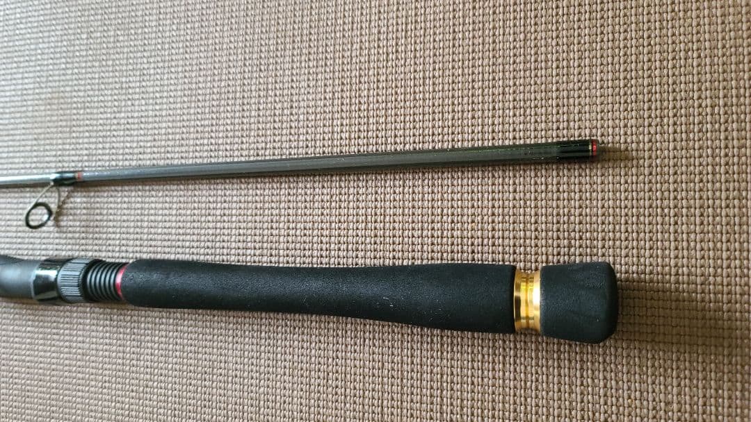 ダイワ(DAIWA) シーバスロッド シーバスハンターX 86ML