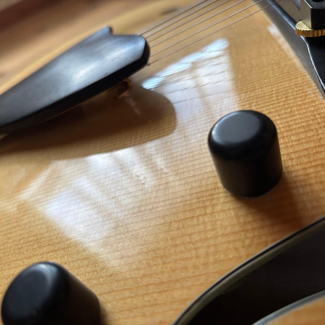 2019年製 Eastman AR810CE