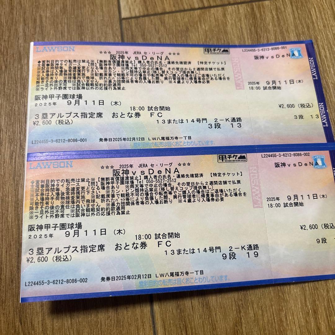 阪神タイガース3塁アルプス　9/11分　こちらは専用です。