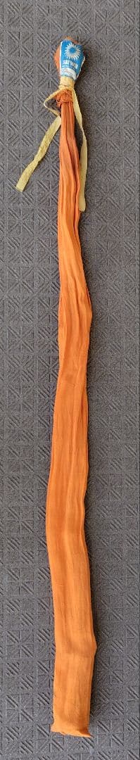 ダイワ ジェットキャスト 56L