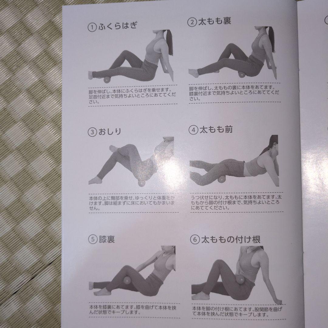 シェイプツインボール STB-100 黒 ACアダプター付き