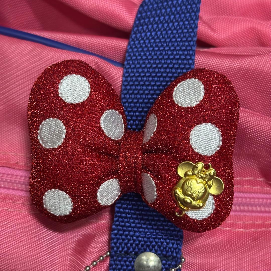 ワールドペガサス　旧ワッペ　ピンク　スクバ　ミニー