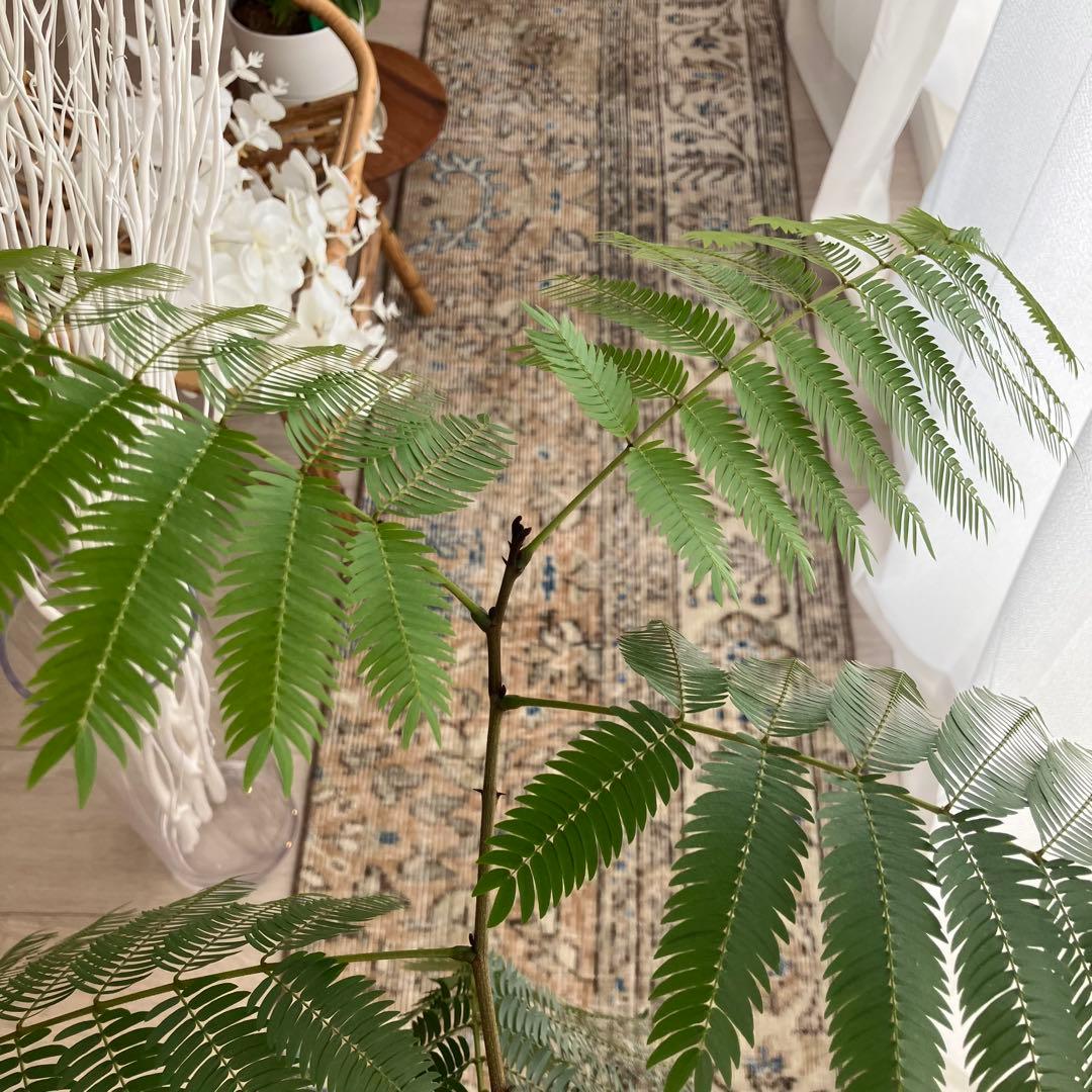 48×211ランナー　淡ブラウン　ブルー　ラインホワイト　トルコヴィンテージラグ