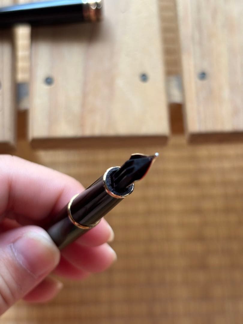 MONT BLANC ボールペン 黒 ガイドブック付き