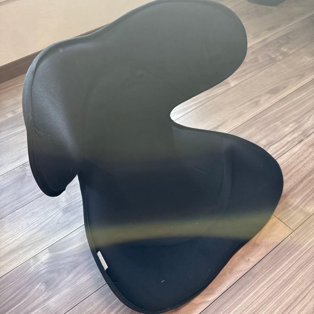 MTG 姿勢サポートシート Style SMART スタイルスマート ブラック