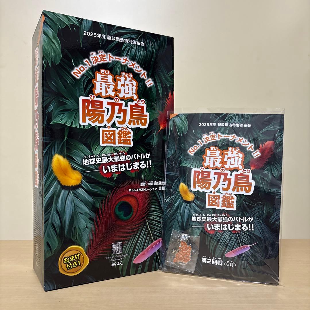 新政 頒布会2025 陽乃鳥 第2回戦 ノベルティ付き