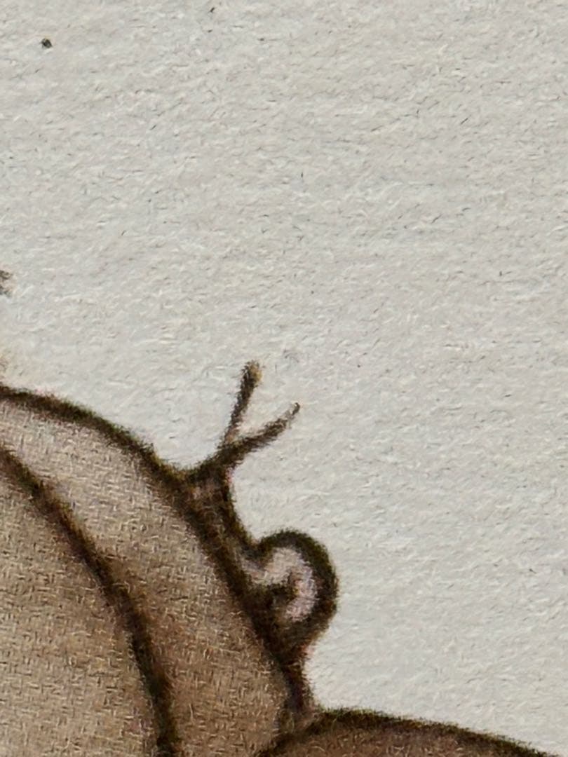 1963年　ル・フーケ　メニューes Redon 3枚　セット