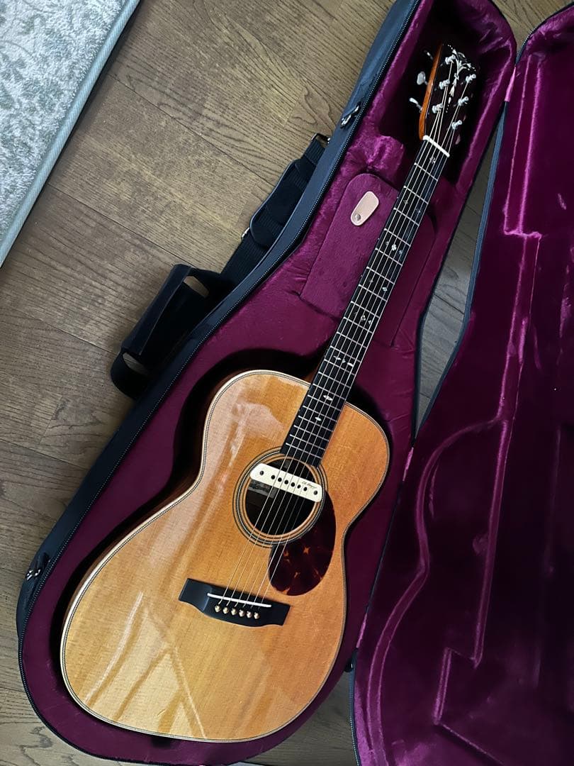 ASTURIAS EC HERRINGBONE L.R.Baggs / M1